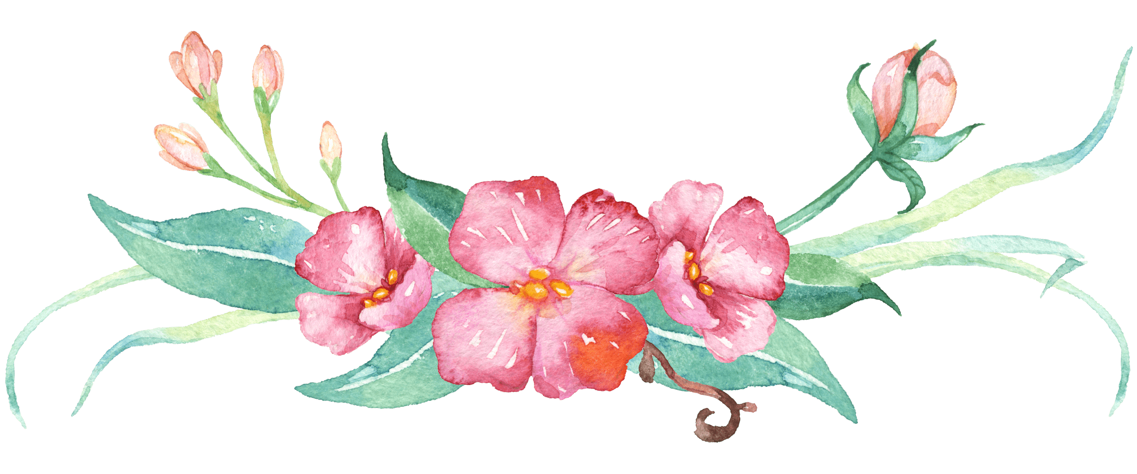 Elegant Plant Example 2